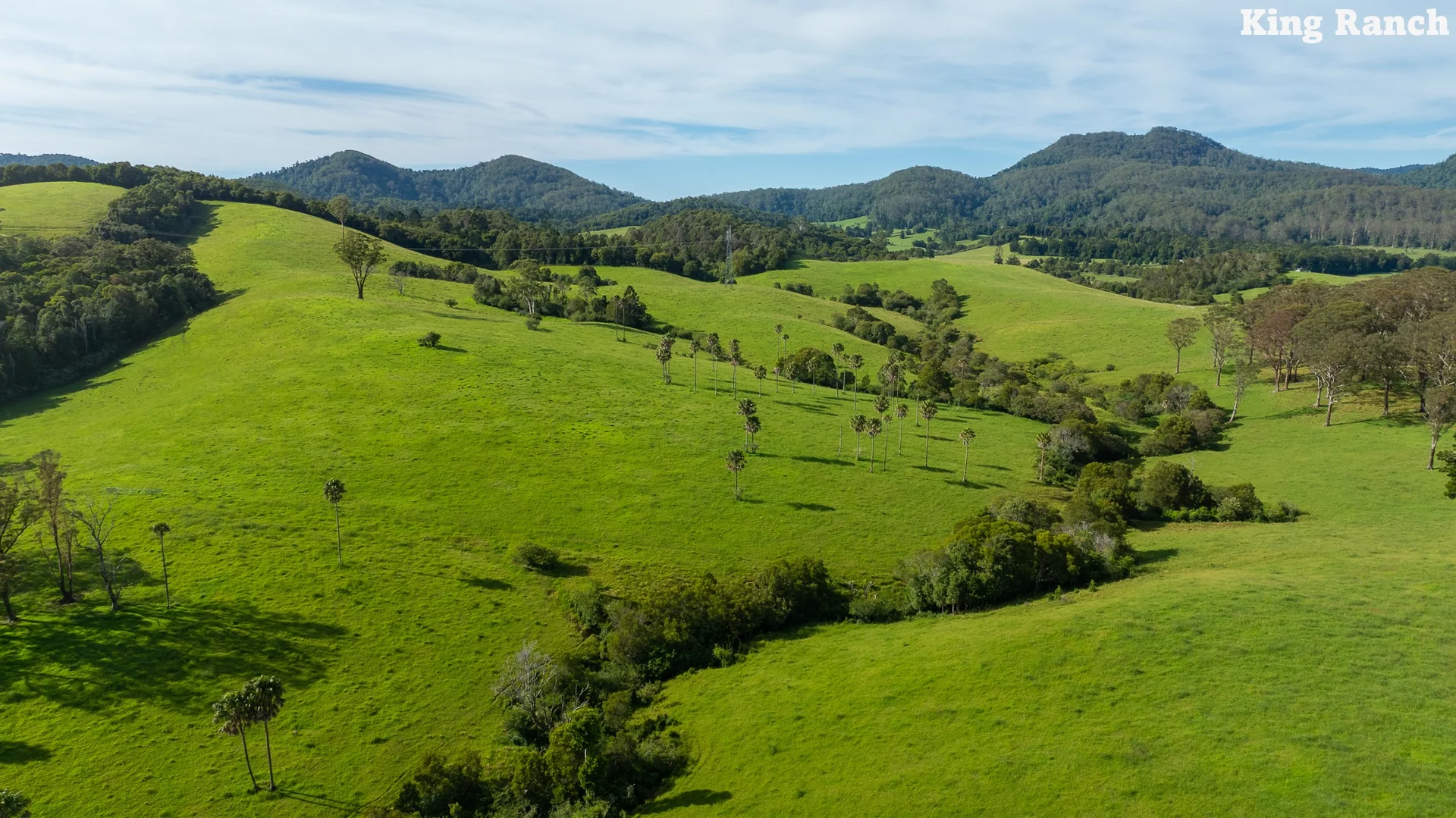 Additional image 16 of "King Ranch" 481 Upper Bobo Road, Coffs Harbour NSW 2450