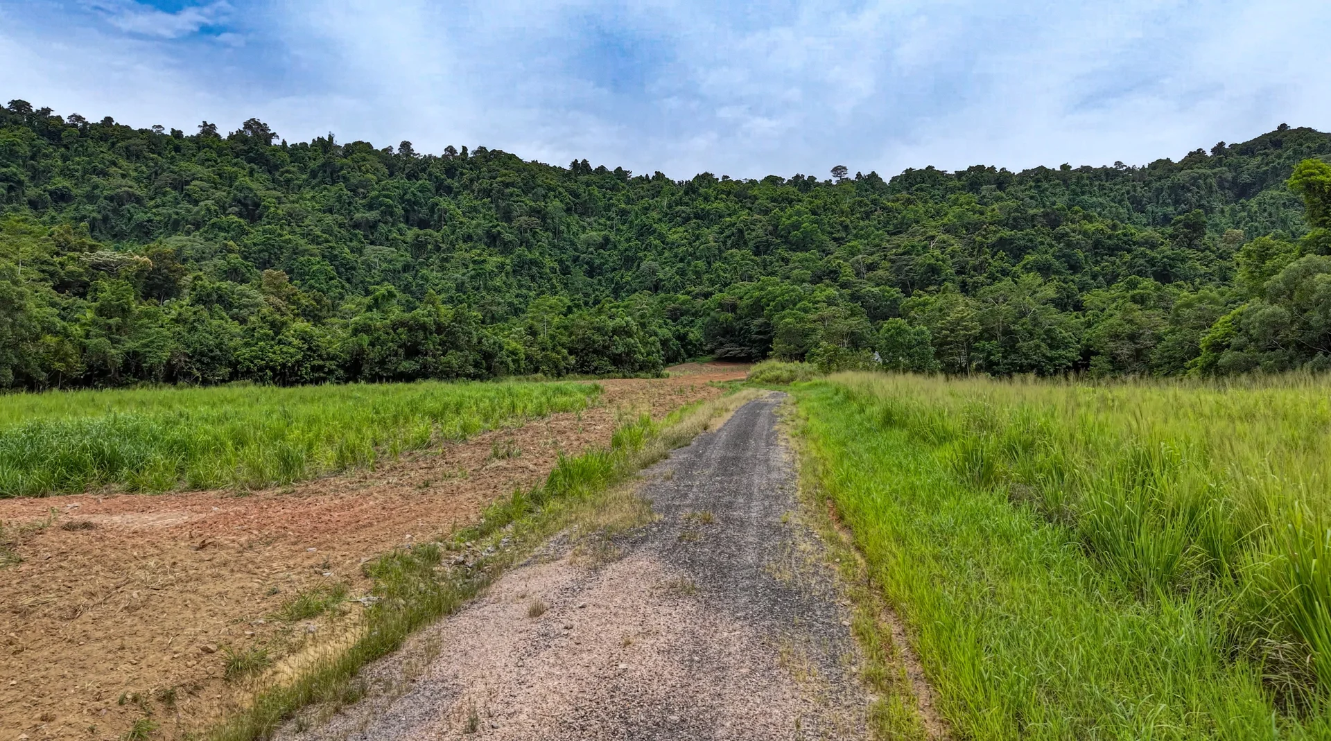 Additional image 4 of Lot 299 Bruce Highway, Friday Pocket QLD 4855
