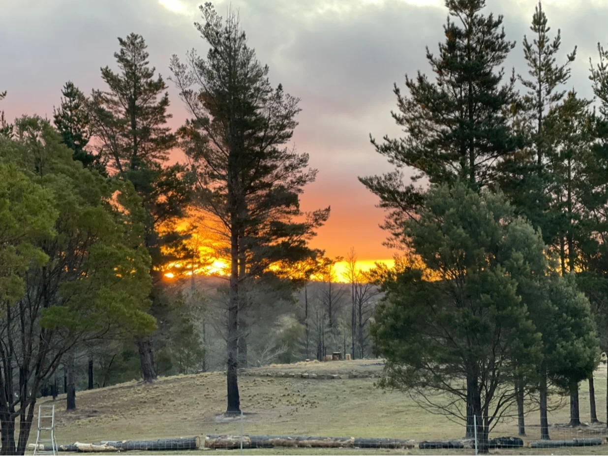 Additional image 2 of Tomboye NSW 2622