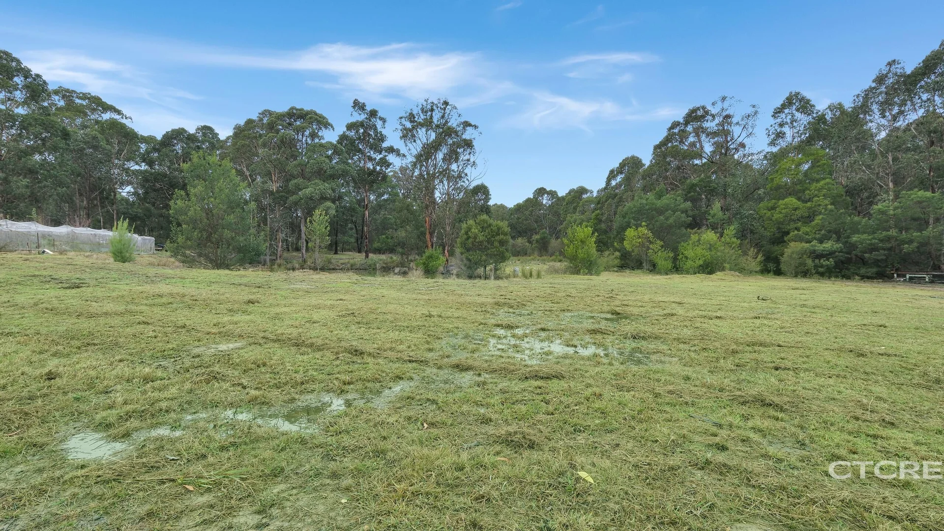 Additional image 7 of 181 Tamboon Road, Cann River VIC 3890