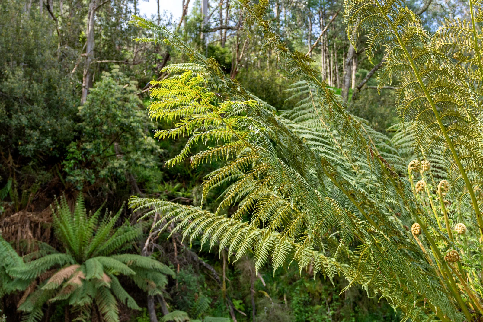 Additional image 13 of 9 Bobs Road, Oyster Cove TAS 7150