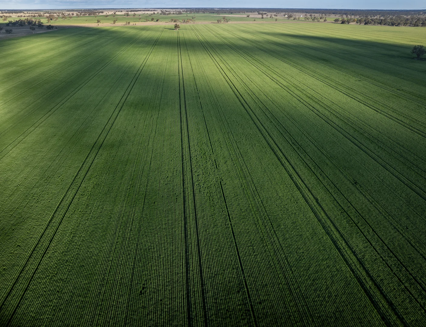 Additional image 2 of Bourbah 2598 Warren Road, Gulargambone NSW 2828