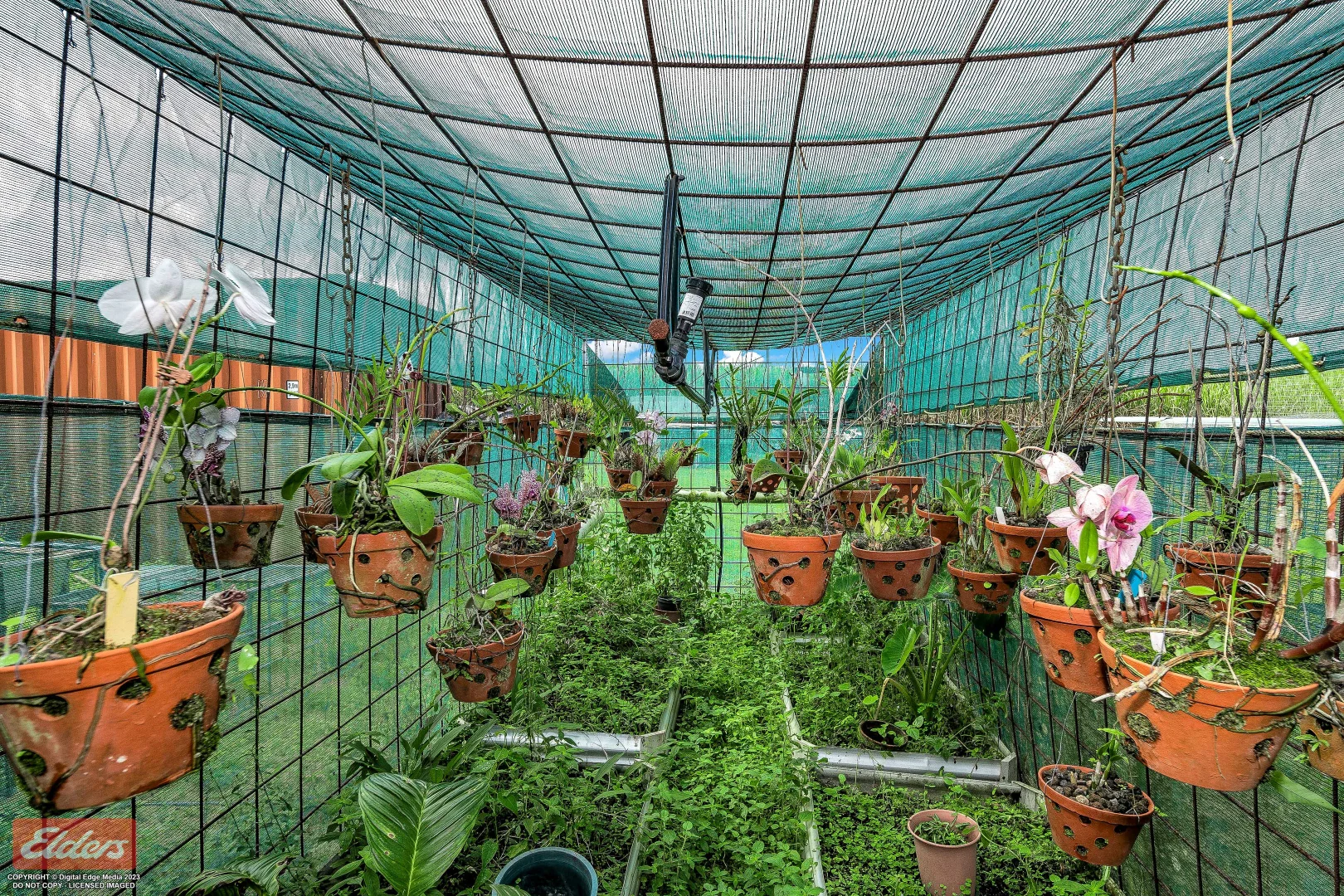 Additional image 23 of 44 Kelly Road, Lower Tully QLD 4854