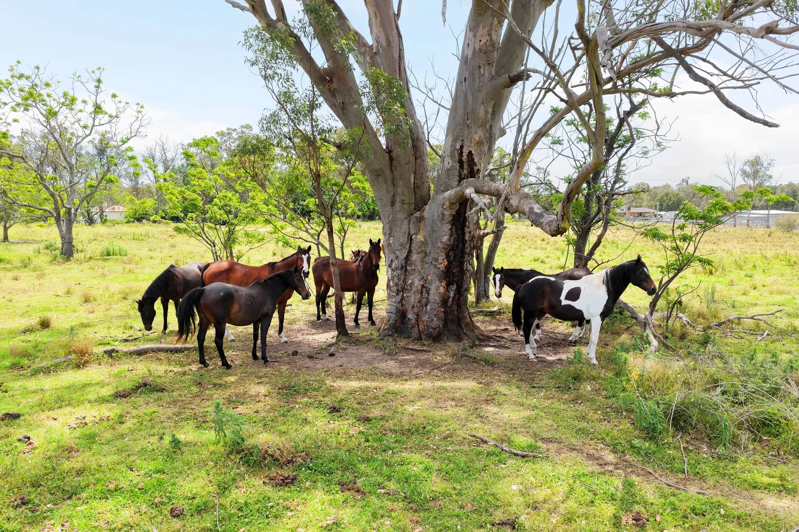Additional image 16 of 205 Oaks Road, Thirlmere NSW 2572