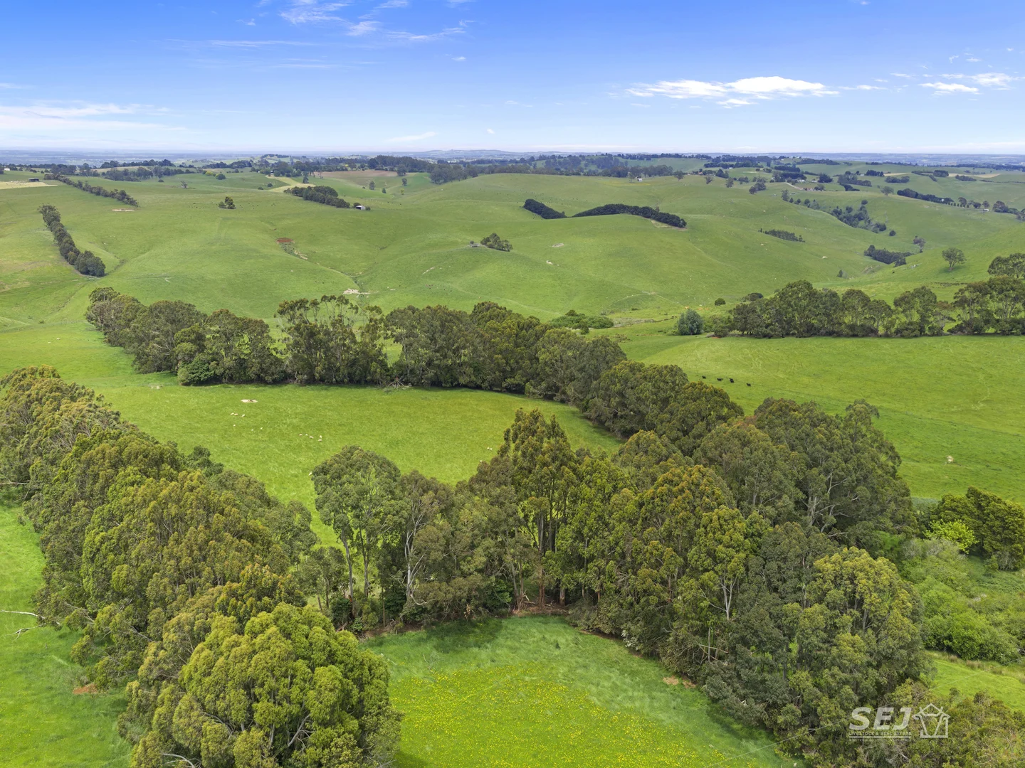 Additional image 19 of 105 Holmes Road, Mardan VIC 3953