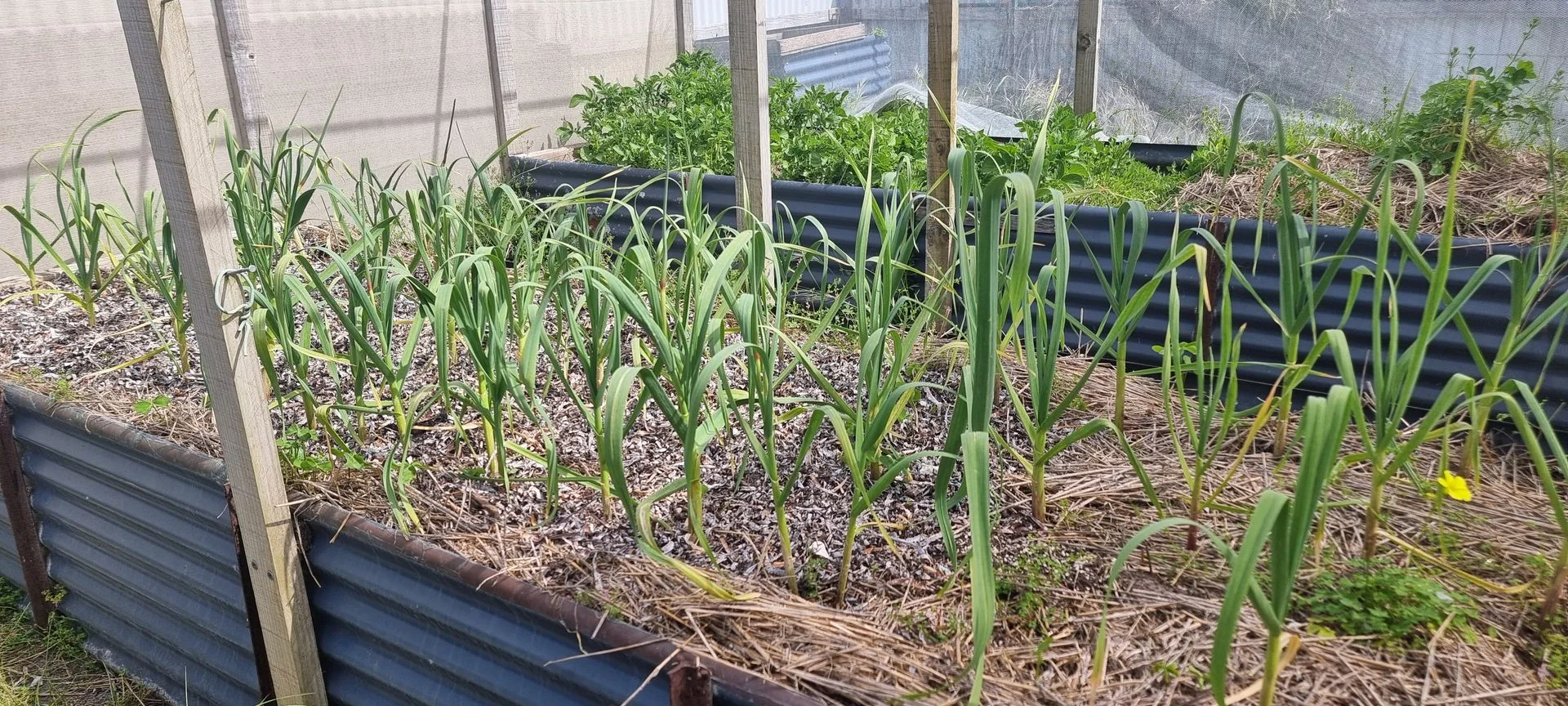 Additional image 23 of 131 Foreshore Road, Kelso TAS 7270