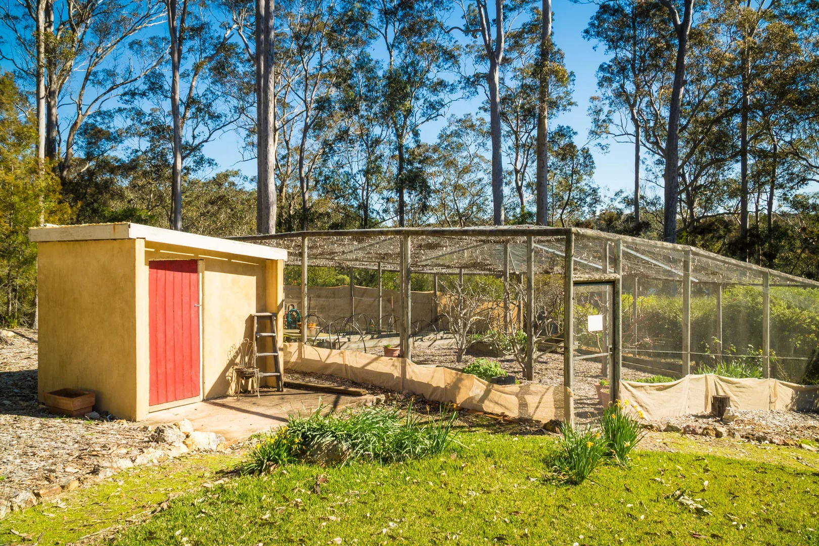 Additional image 31 of 105 Hobbs Point Road, Narooma NSW 2546