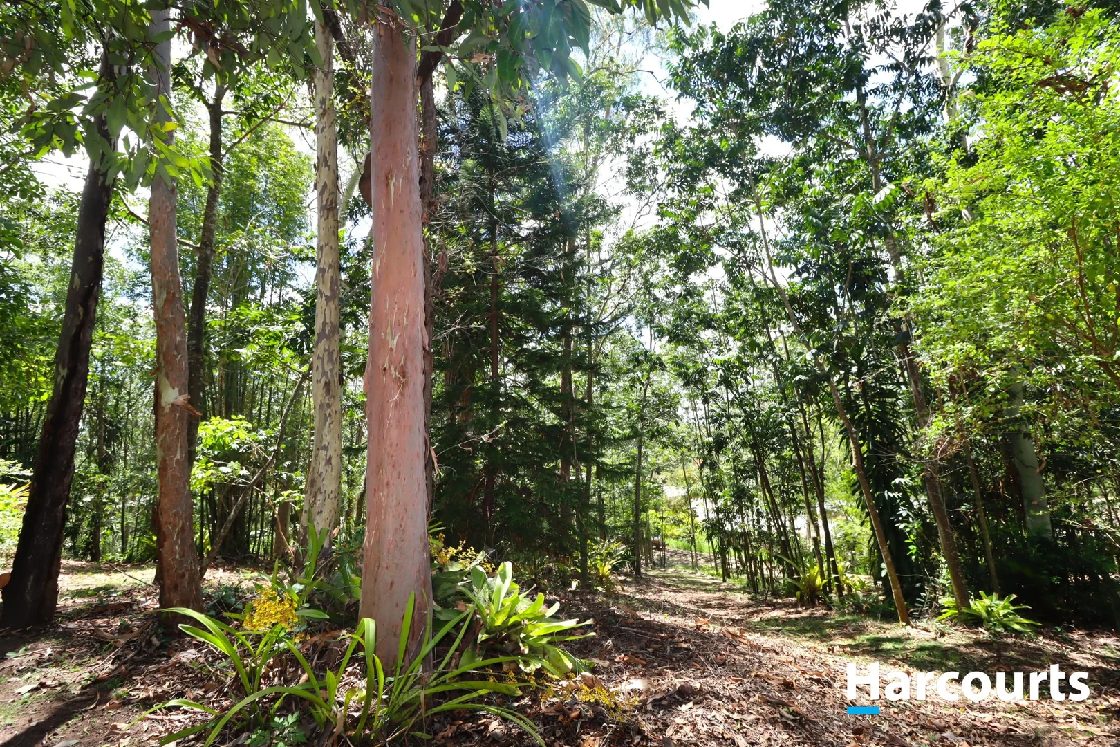 Additional image 25 of 15-21 Rosenstet Lane, Apple Tree Creek QLD 4660