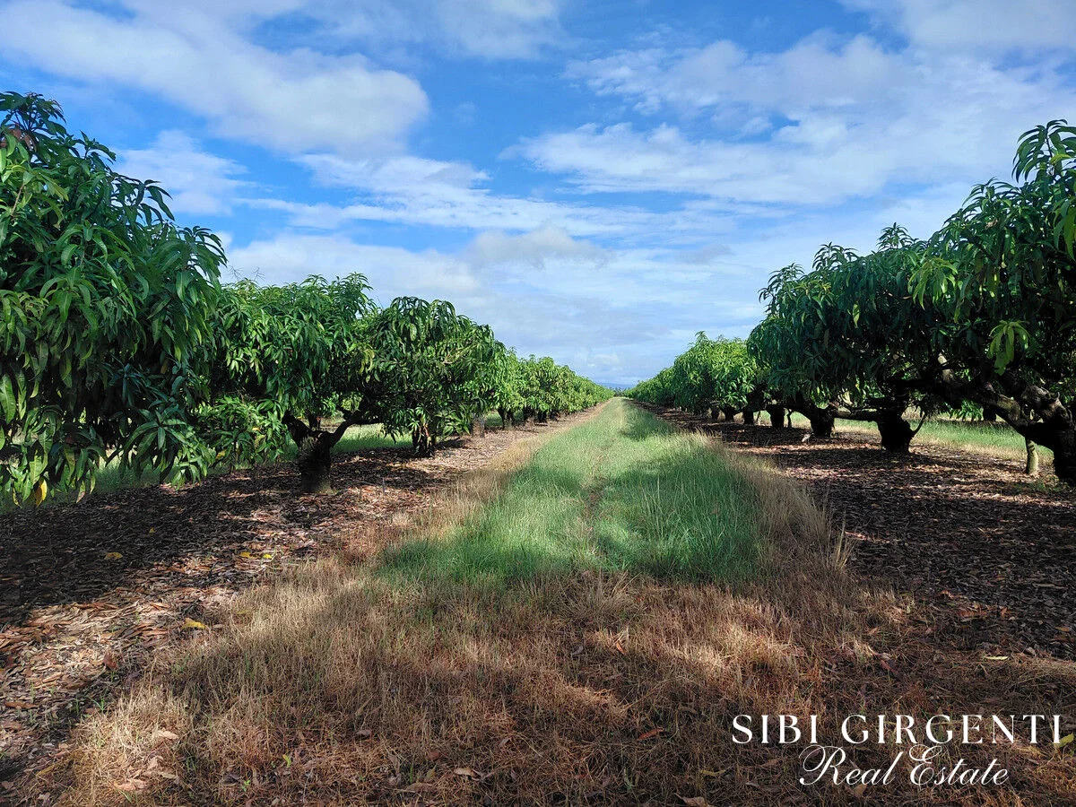 Additional image 12 of 263/71 Gilmore Road, Mareeba QLD 4880