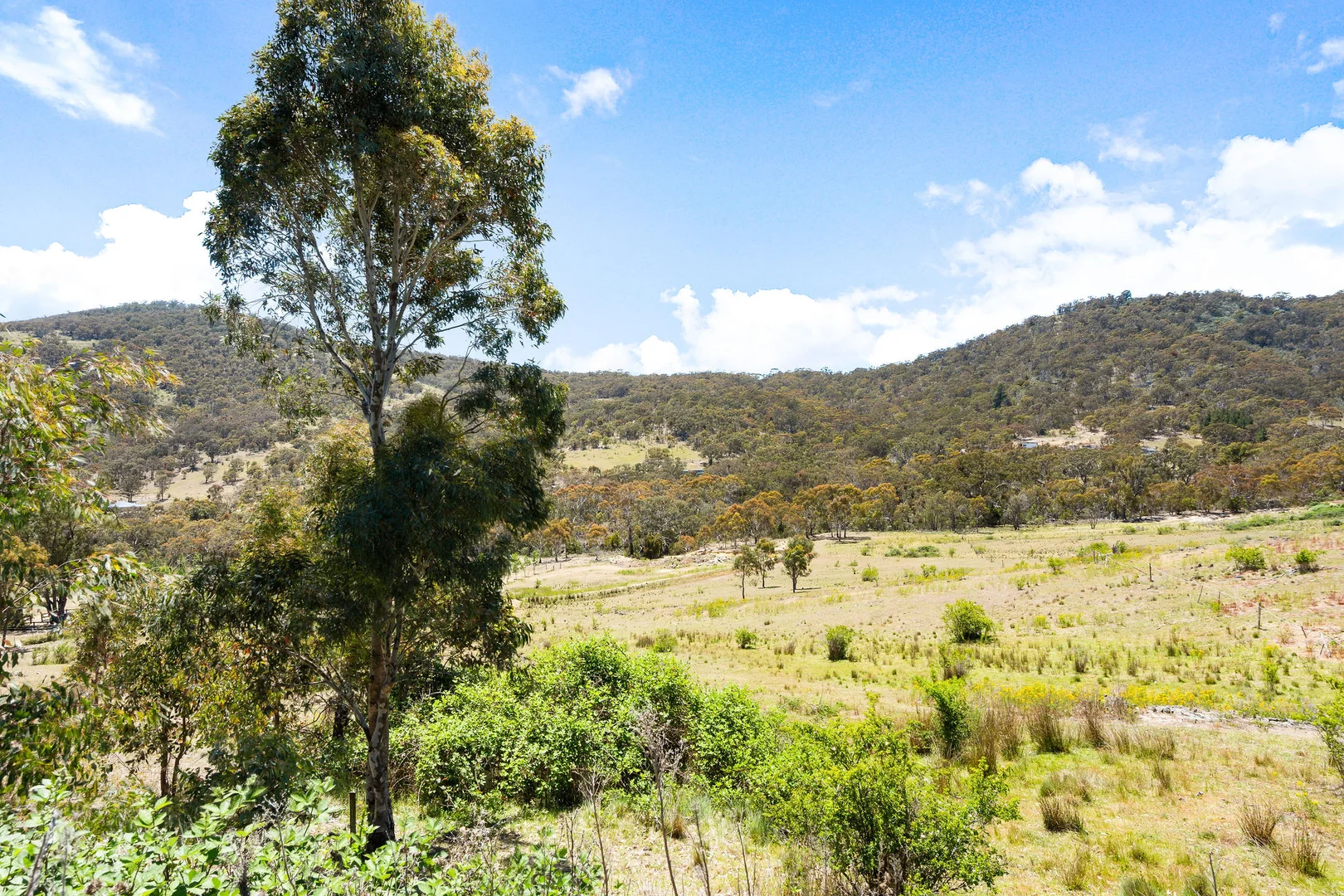 Additional image 18 of 15 Red Box Place, Royalla NSW 2620