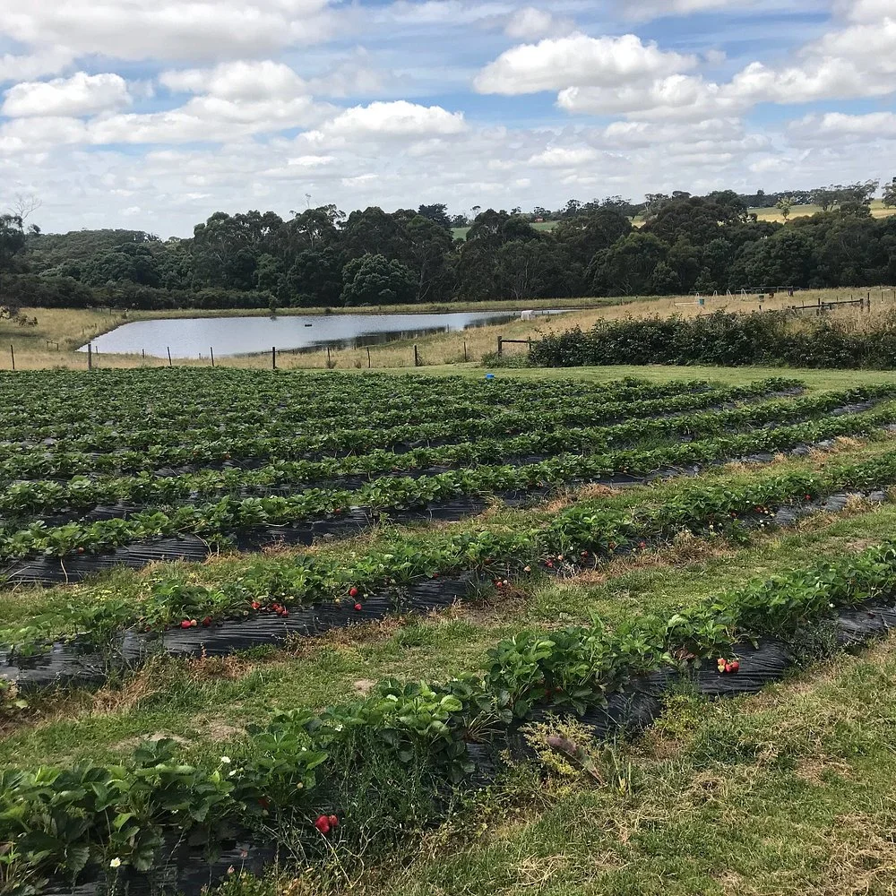 Additional image 13 of 1 Snake Track, Timboon VIC 3268