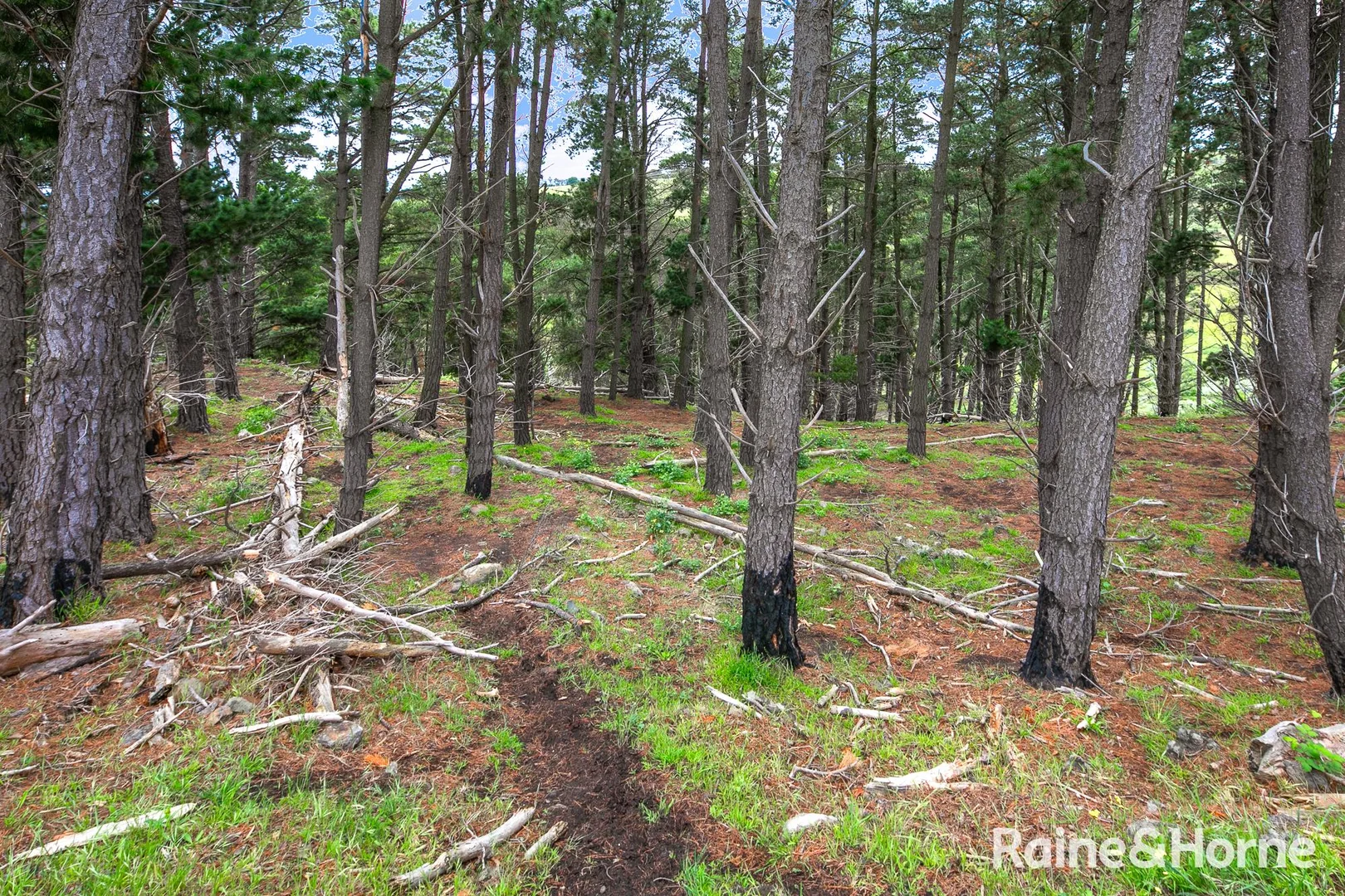 Additional image 12 of 10 Misty View Court, Gisborne VIC 3437