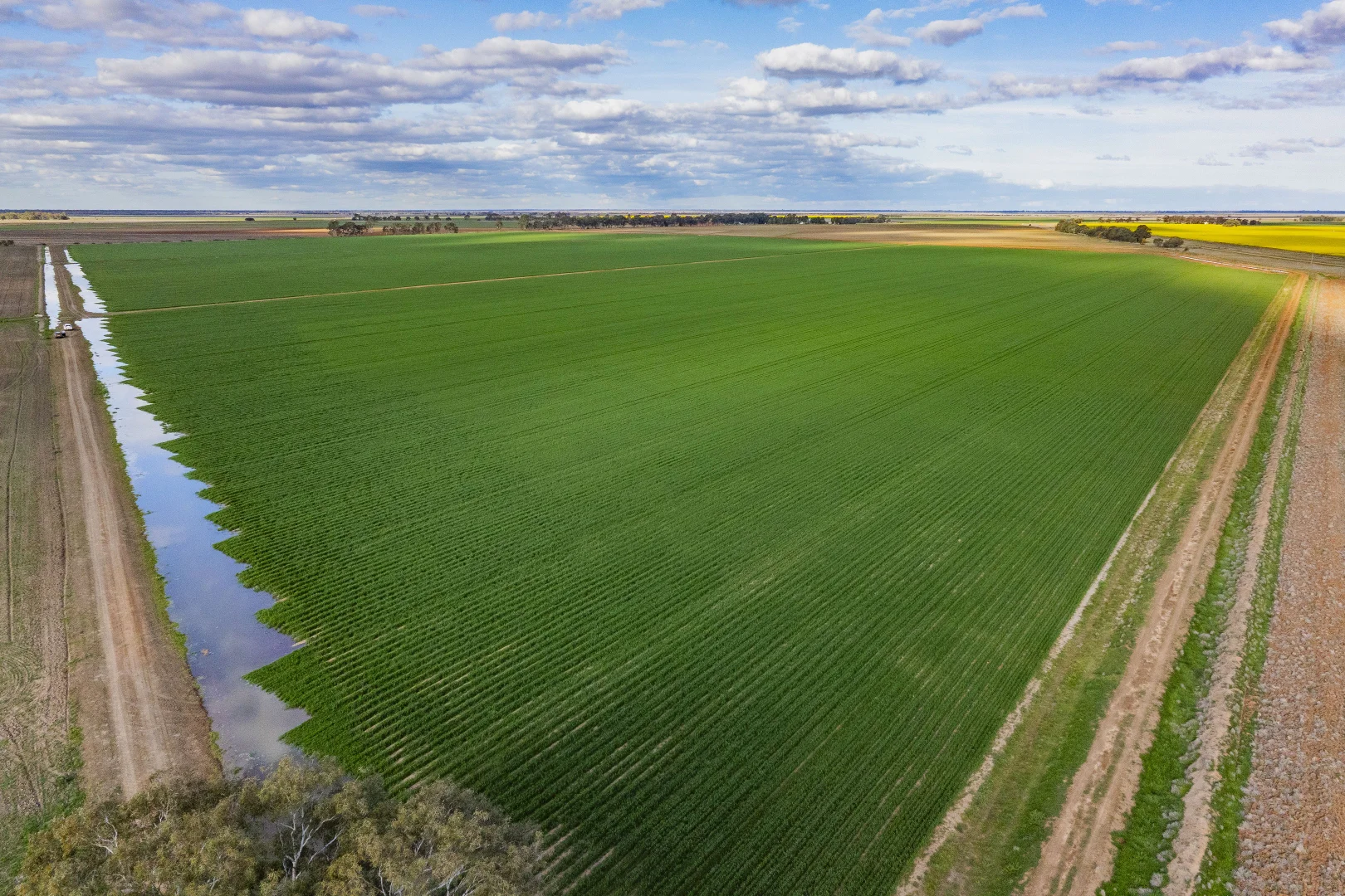 Additional image 4 of Glenn Road, Coleambally NSW 2707