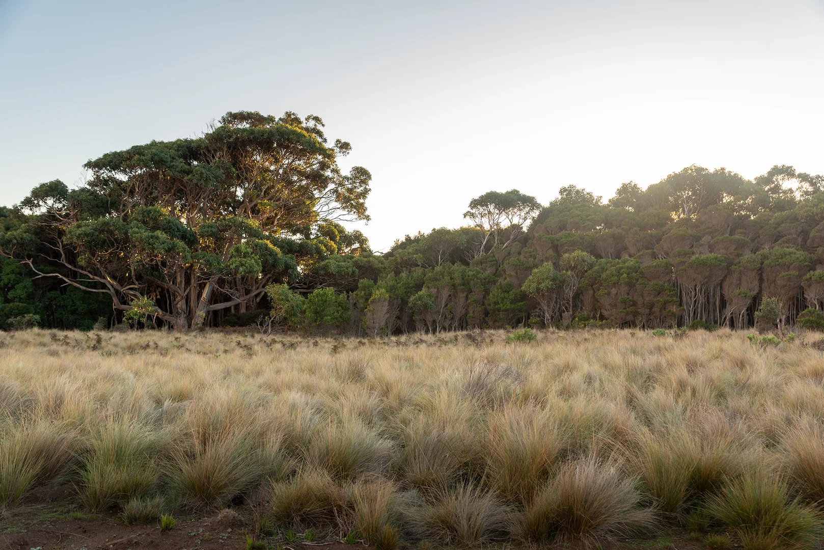 Additional image 9 of Lot 3 Boat Harbour Road, Killiecrankie TAS 7255