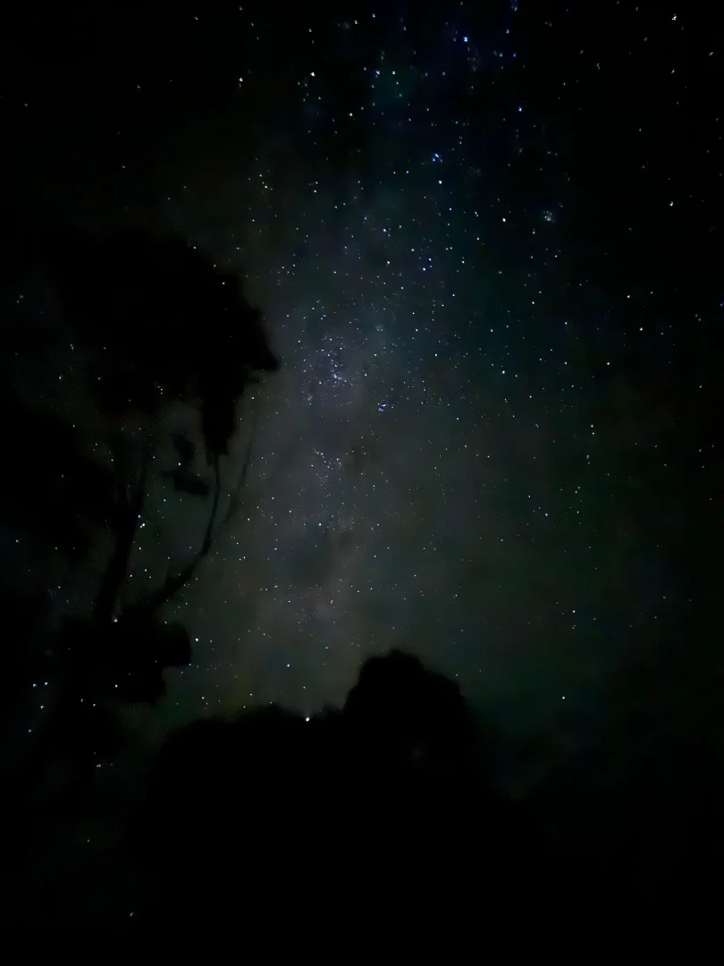 Additional image 19 of 274 Willow Glen Road, Lower Boro NSW 2580