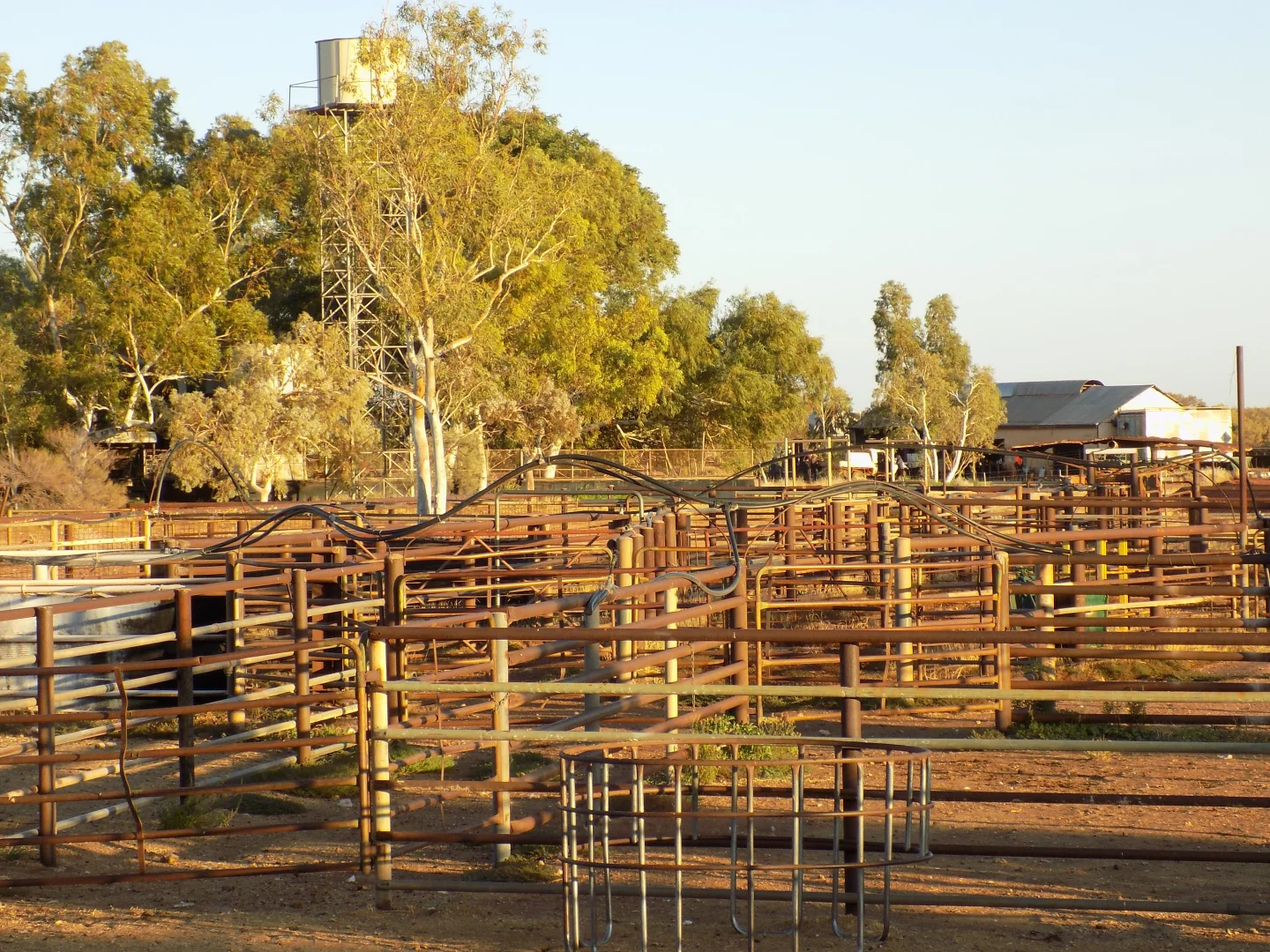 Additional image 10 of West Lyons River WA 6705