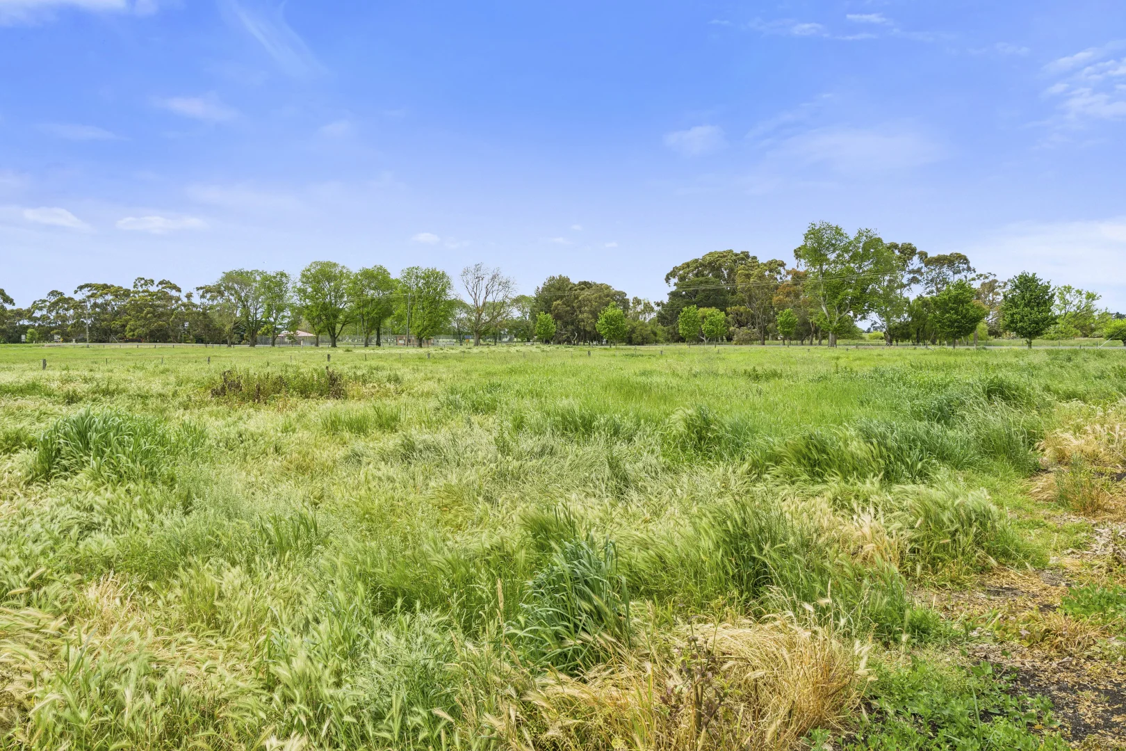 Additional image 4 of 18 Ligar Street, Derrinallum VIC 3325