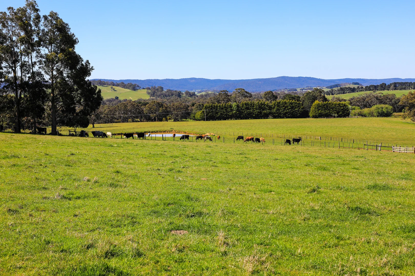 Additional image 8 of 154 Straws Lane, Hesket VIC 3442