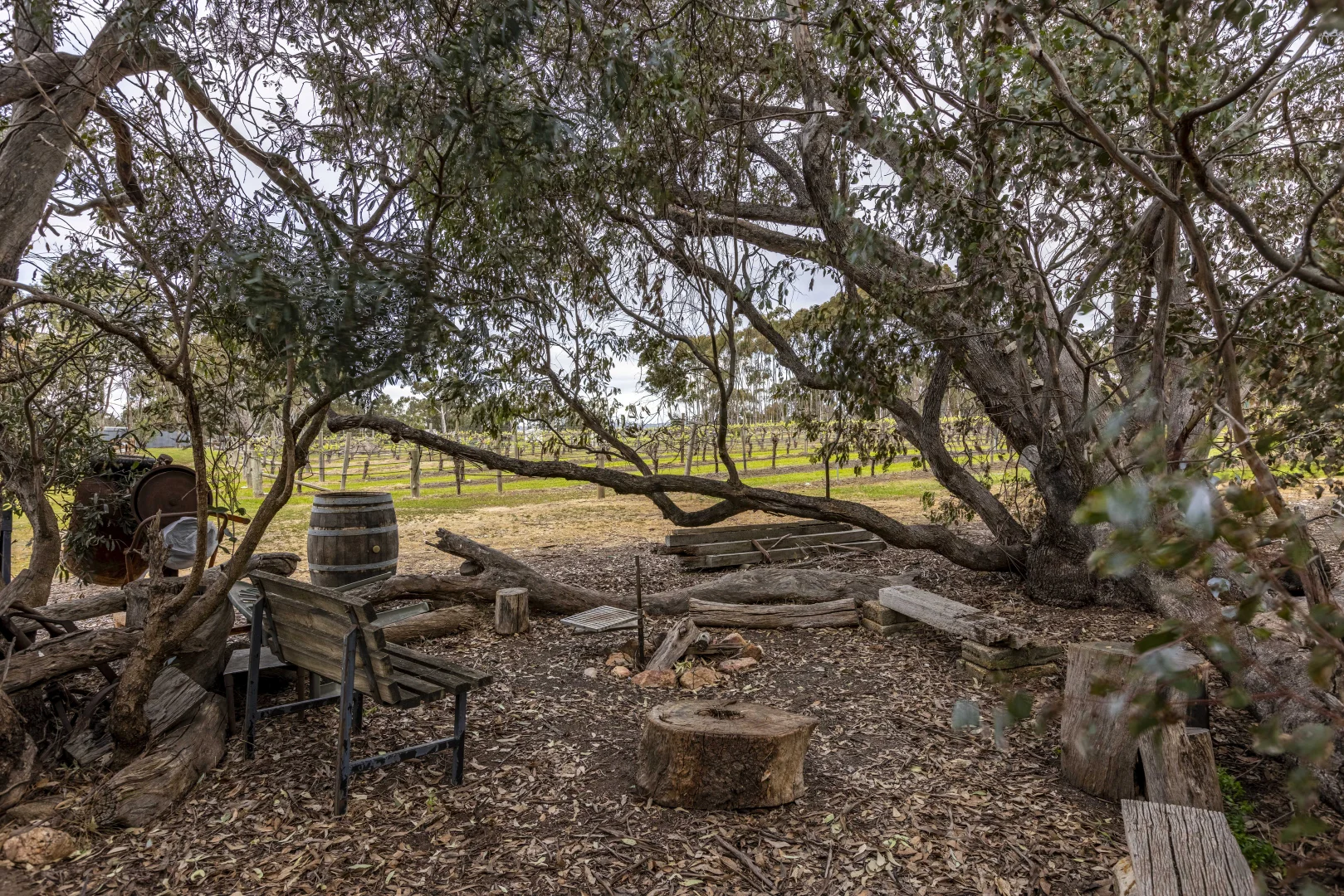 Additional image 31 of 47 Peramangk Road, Nuriootpa SA 5355