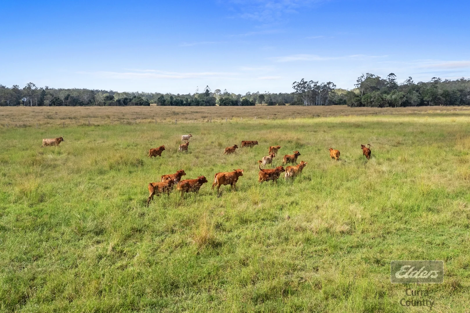 Additional image 43 of 3914 Bruce Highway, Glenwood QLD 4570