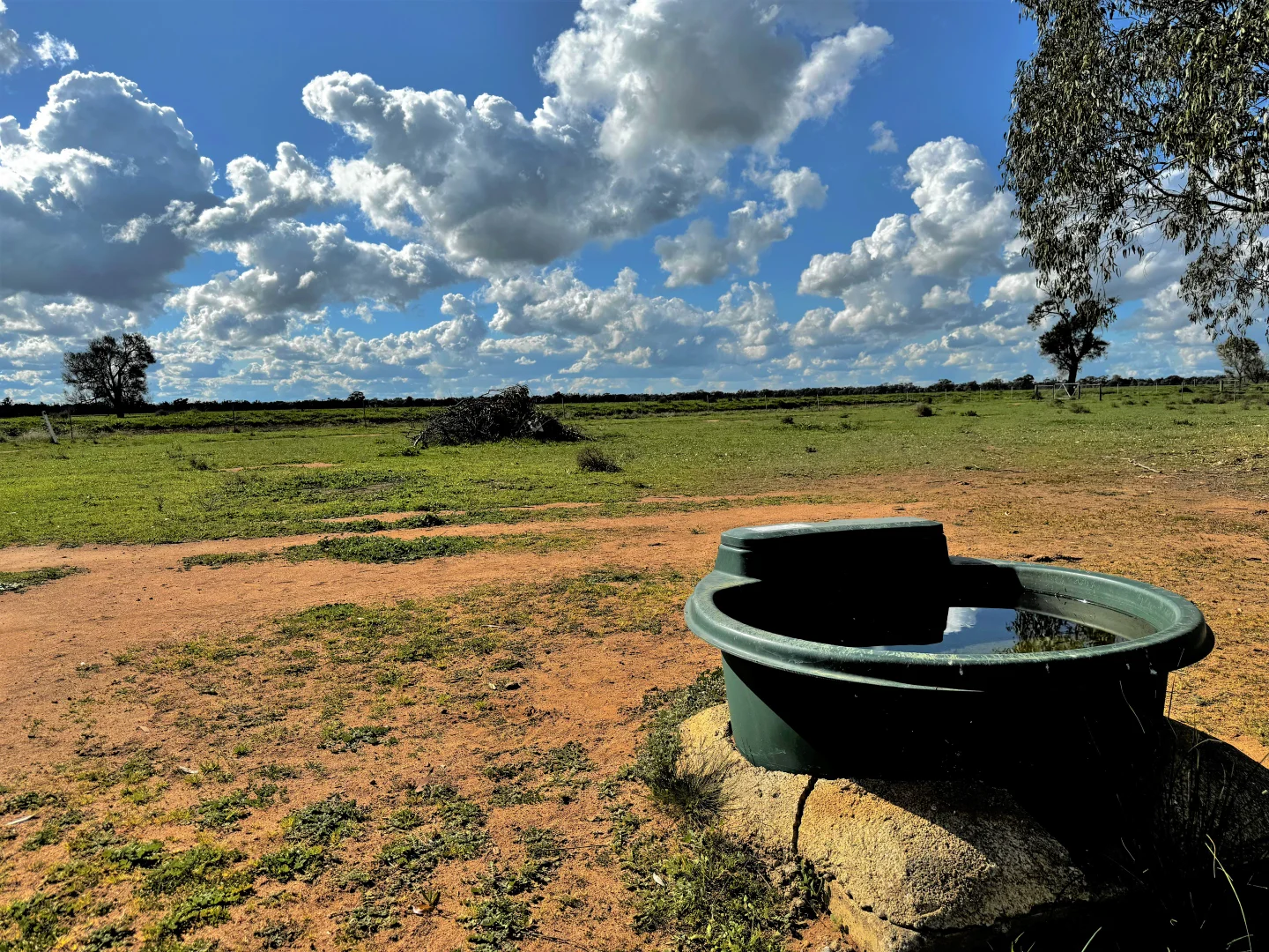 Additional image 16 of Calimo Park Brassi Road, Deniliquin NSW 2710