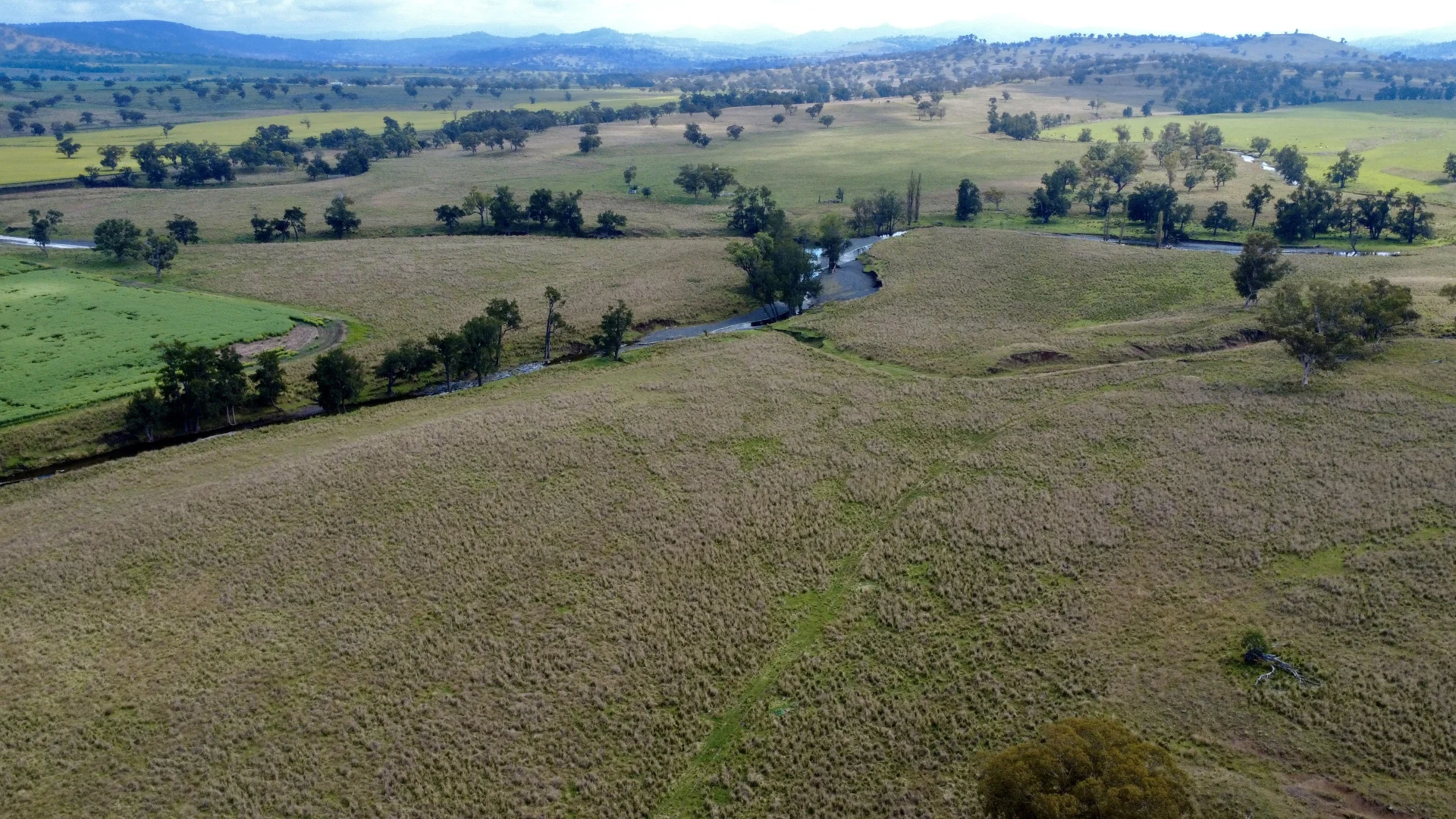 Additional image 10 of 955 "Wirringulla" Coulsons Creek Road, Merriwa NSW 2329