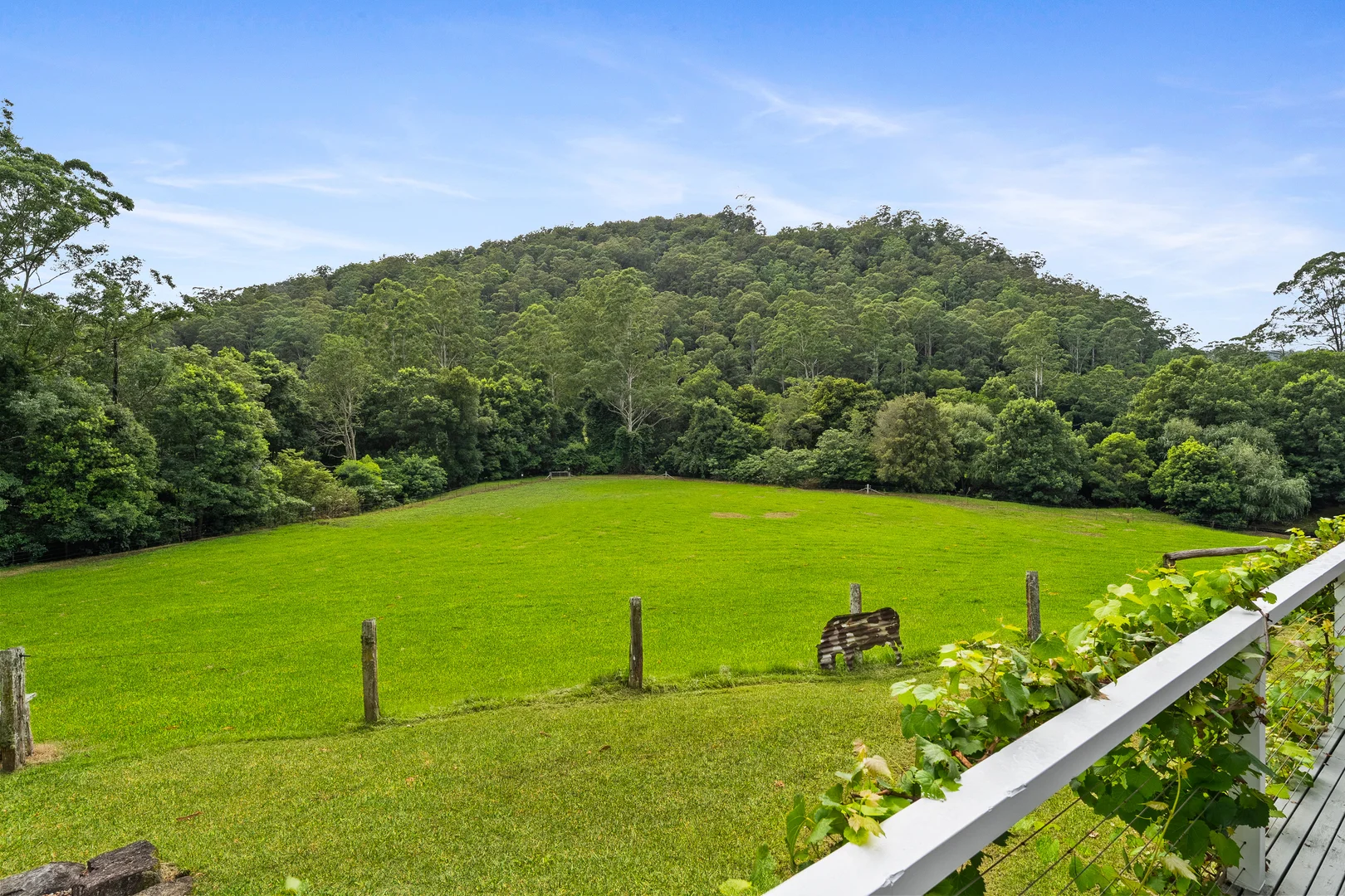 Additional image 18 of 665 Brush Creek Road, Cedar Brush Creek NSW 2259