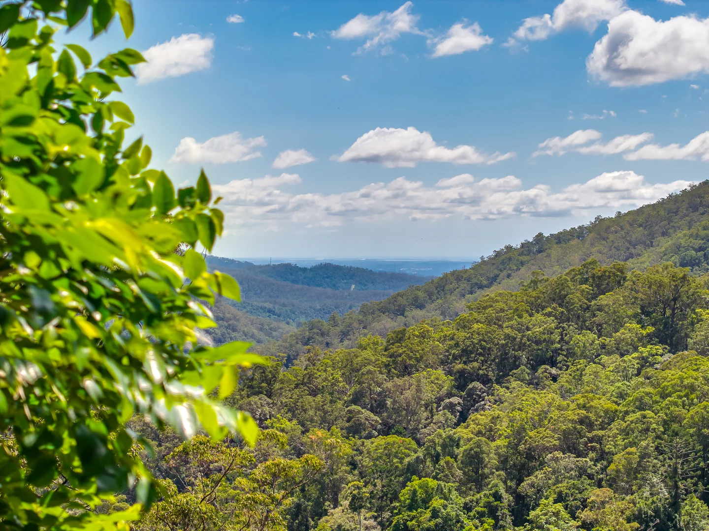 Additional image 30 of 195-275 Kaiser Road, Tamborine Mountain QLD 4272
