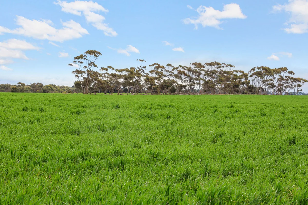 Additional image 23 of 1047 Rokewood-Shelford Road, Shelford VIC 3329