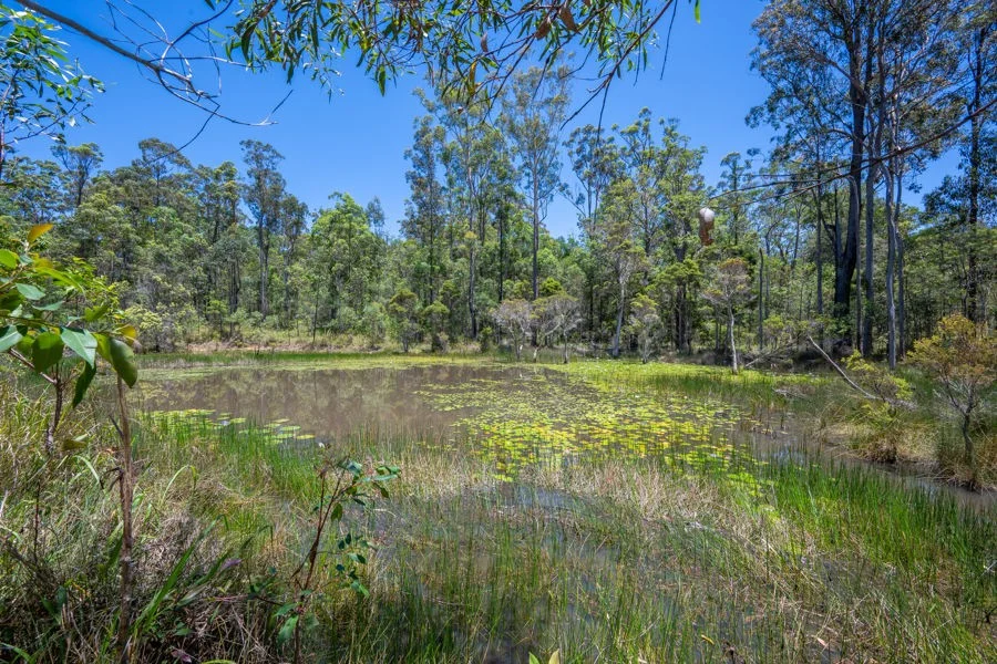 Additional image 24 of 454 Parker Road, Wells Crossing NSW 2460