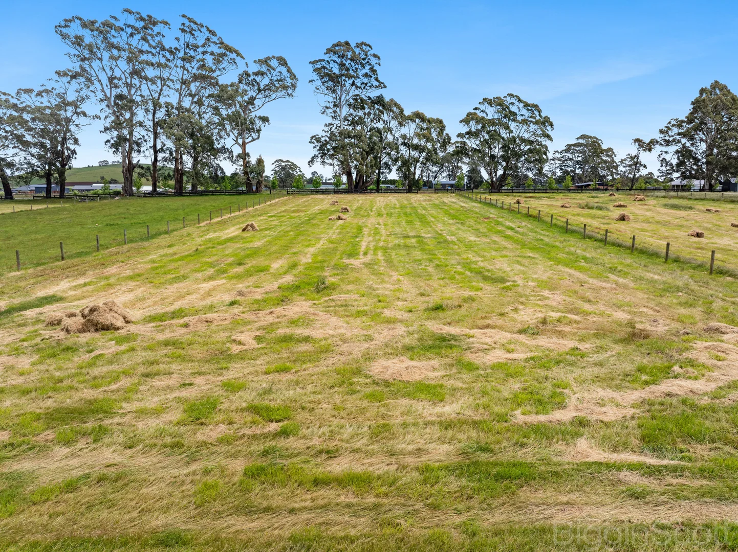 Additional image 4 of 10 Spring Street, Glenlyon VIC 3461