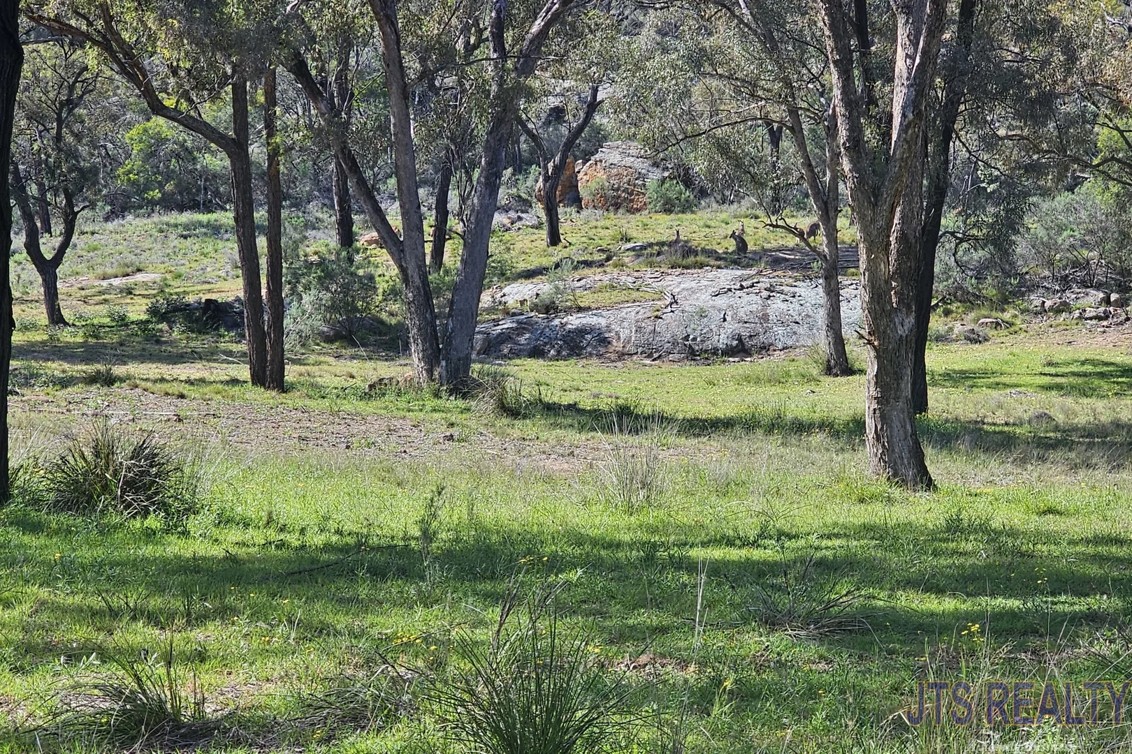 Additional image 19 of 1199 Cullingral Road, Merriwa NSW 2329