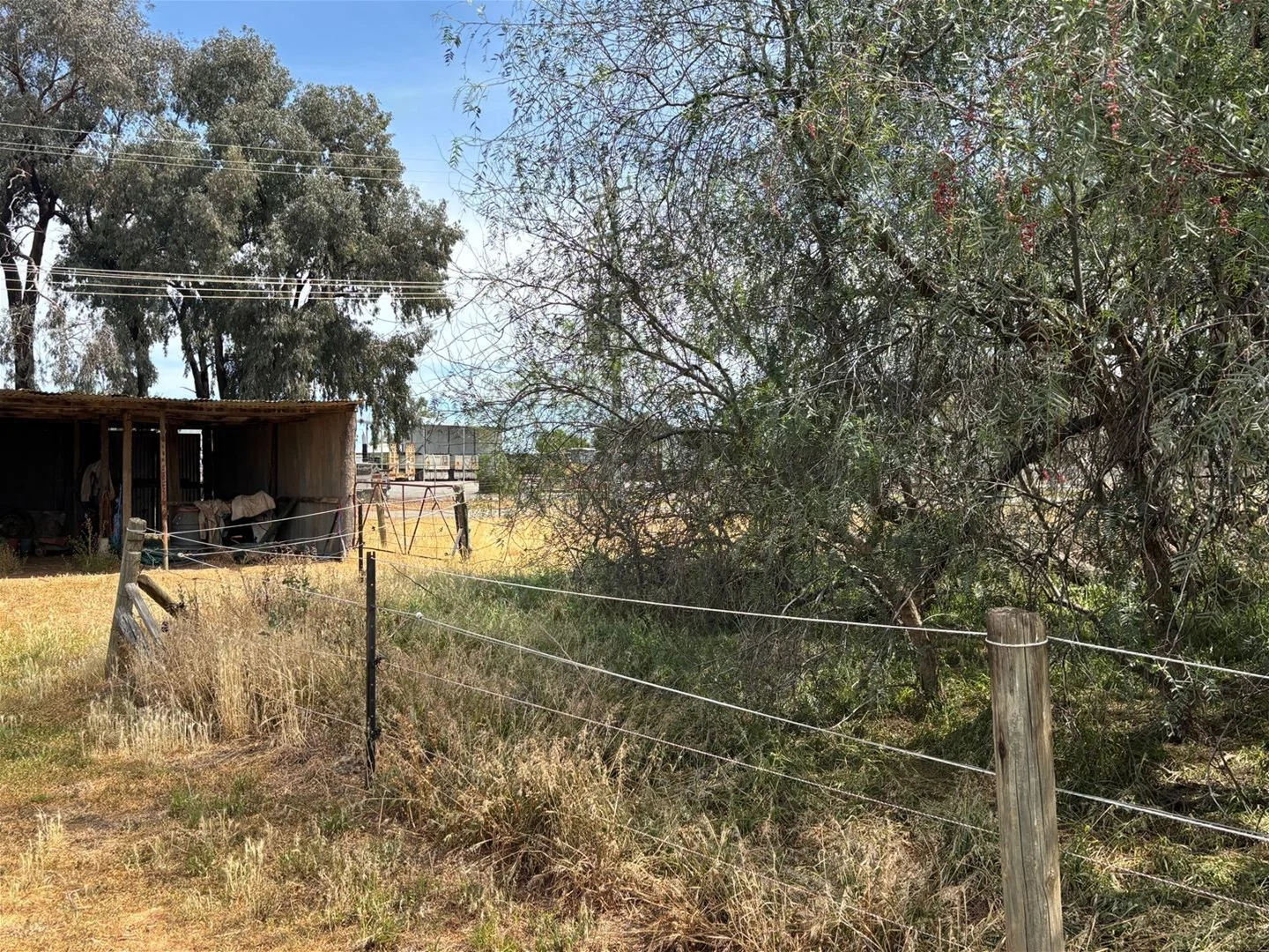 Additional image 19 of 43-51 Corcoran Street, Berrigan NSW 2712