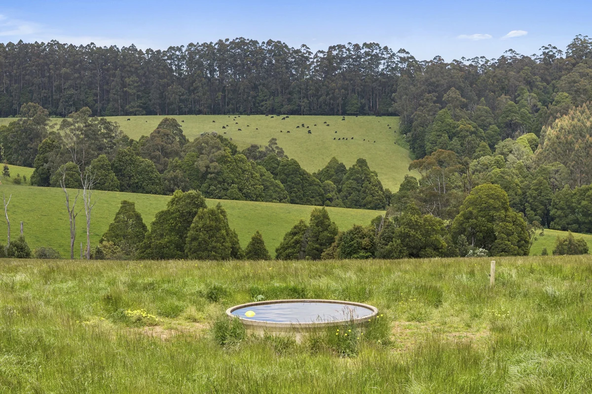 Additional image 30 of 4230 Colac-Lavers Hill Road, Weeaproinah VIC 3237