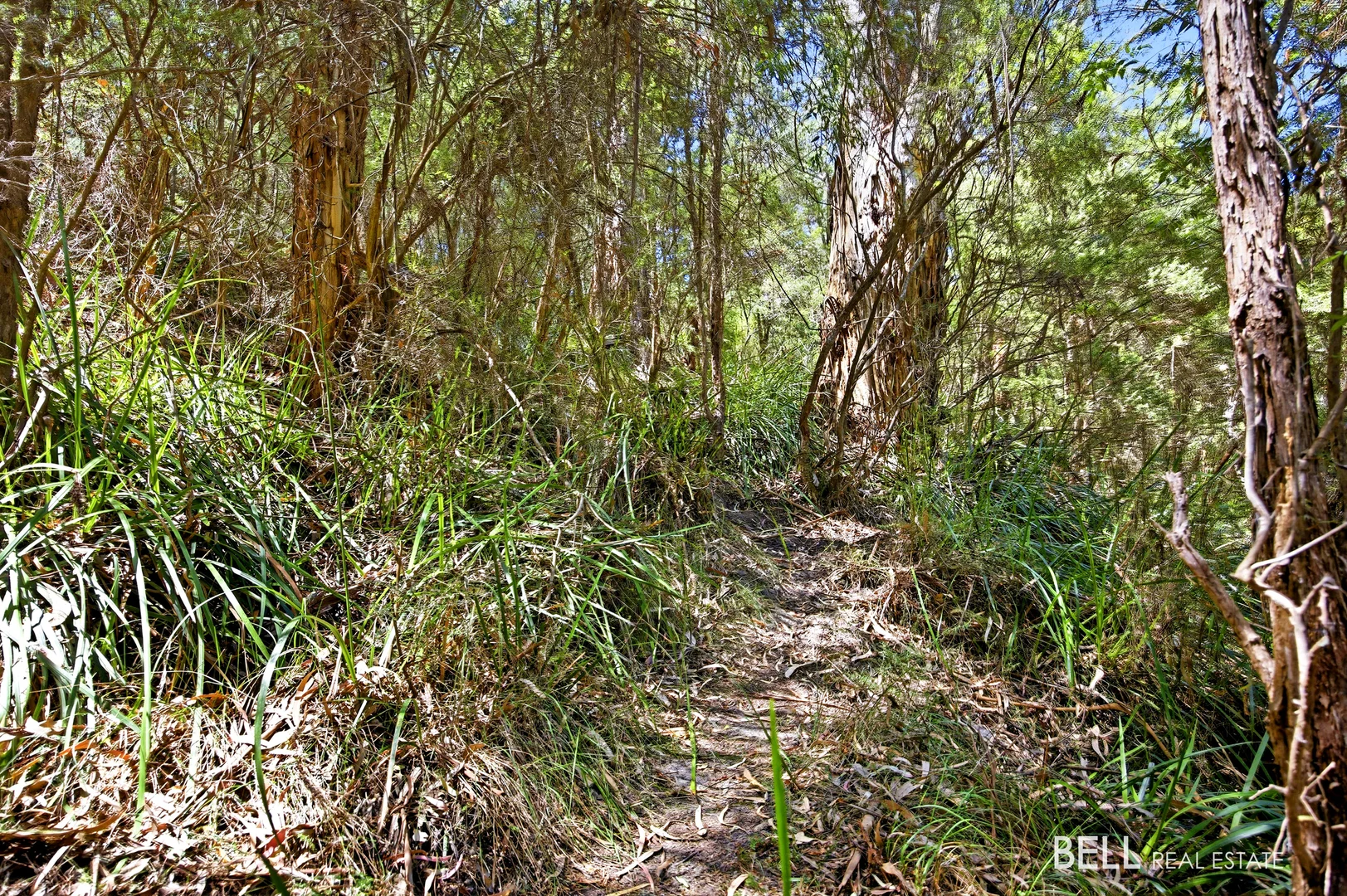 Additional image 8 of 23 Glenbrook Road, Warburton VIC 3799