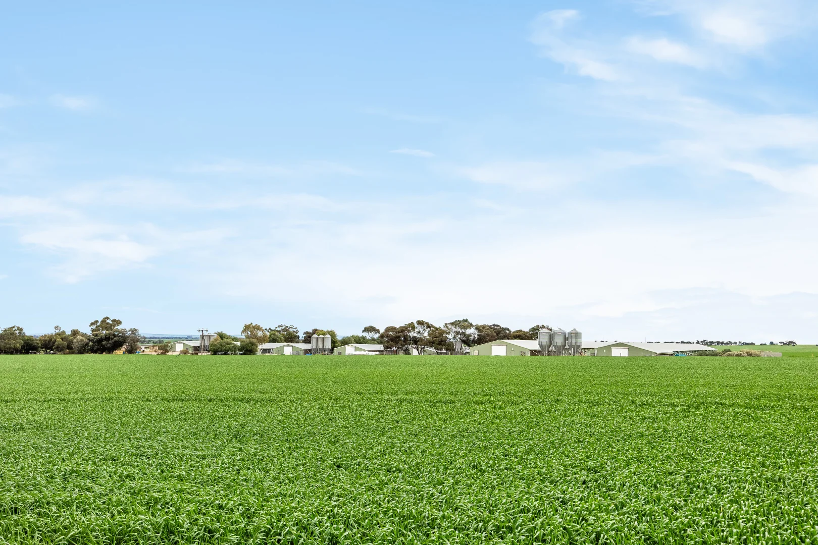 Additional image 24 of 85 Wandel Road, Owen SA 5460