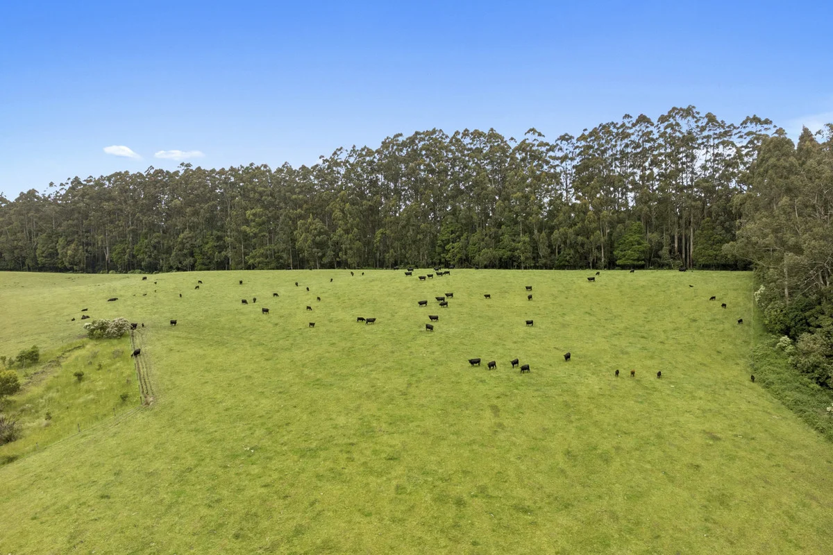 Additional image 28 of 4230 Colac-Lavers Hill Road, Weeaproinah VIC 3237