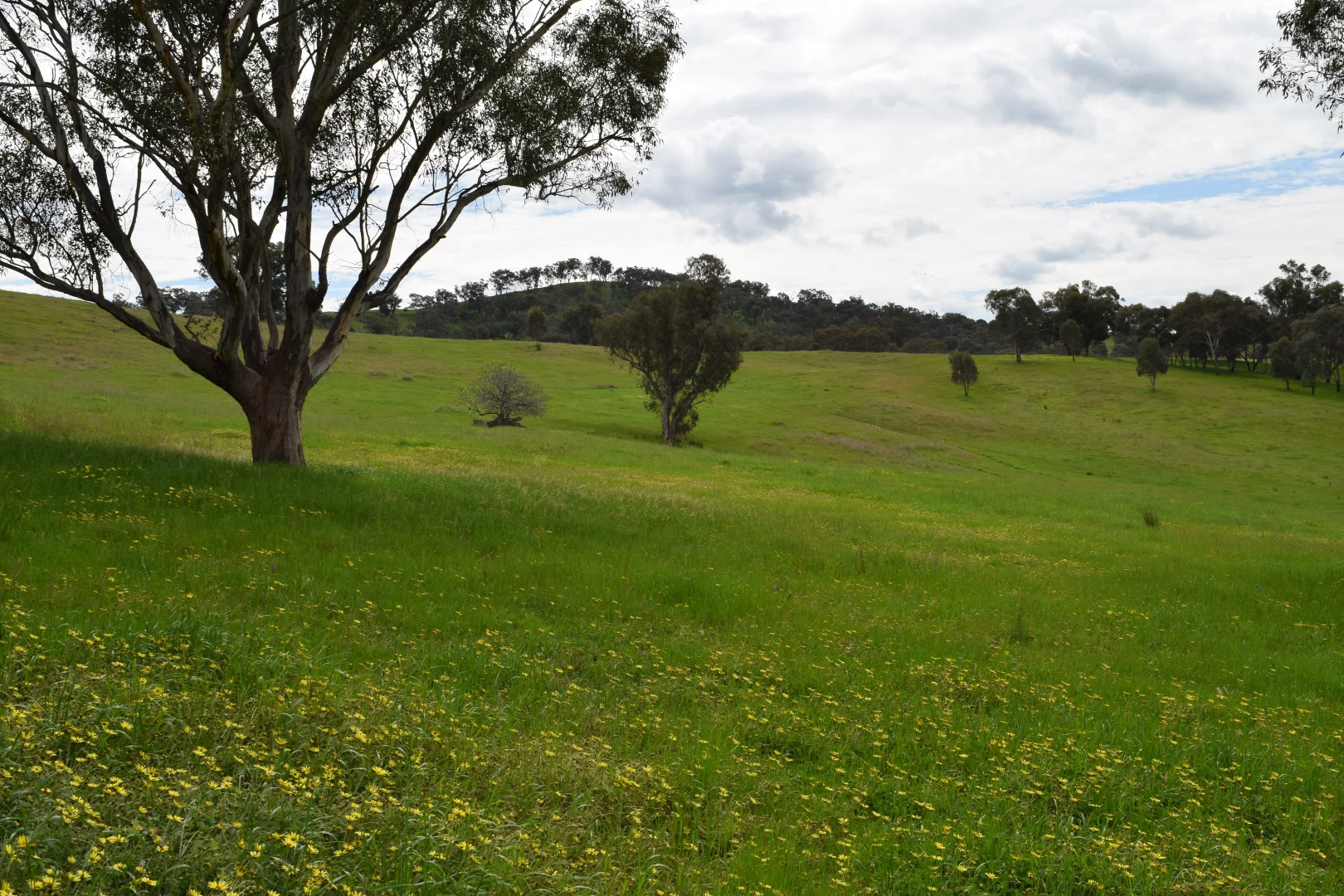 Additional image 3 of 87 Splitters Creek Road, Splitters Creek NSW 2640
