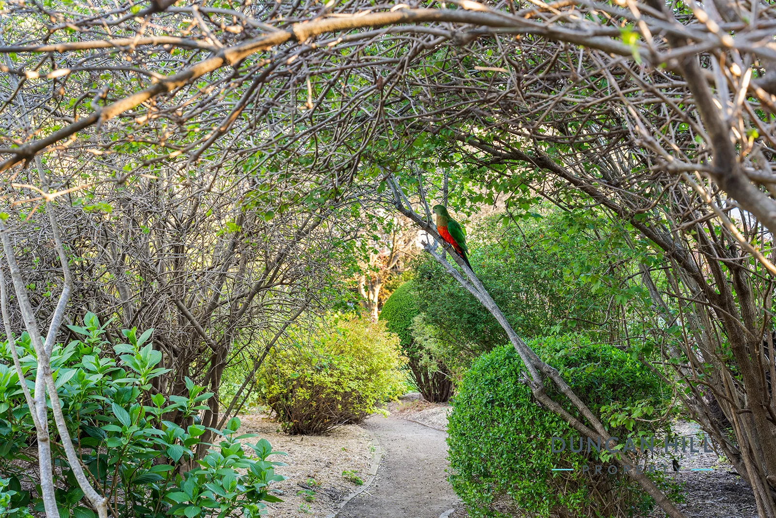 Additional image 14 of 13 Nerang Street, Burradoo NSW 2576