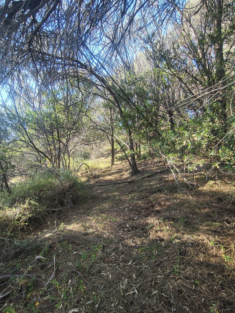 Additional image 12 of 12-14 Church street, Dodges Ferry TAS 7173