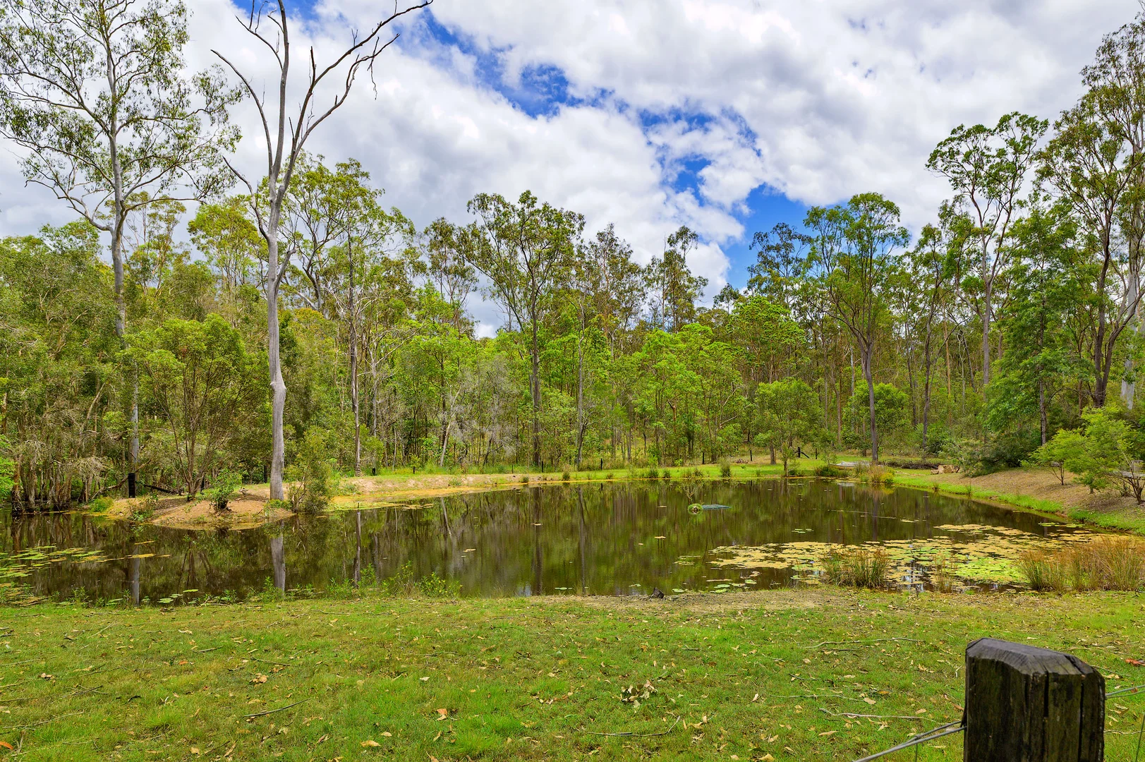 Additional image 16 of 15 Arborseventeen Road, Glenwood QLD 4570
