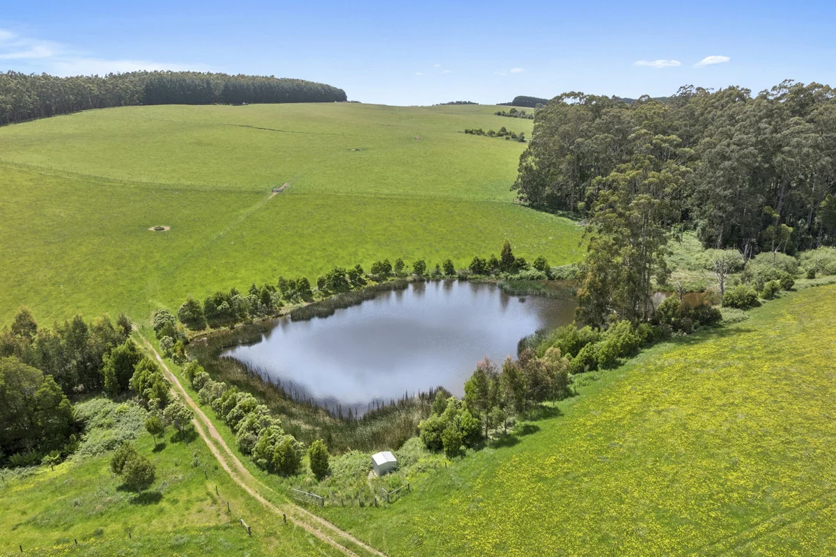 Additional image 4 of 4230 Colac-Lavers Hill Road, Weeaproinah VIC 3237