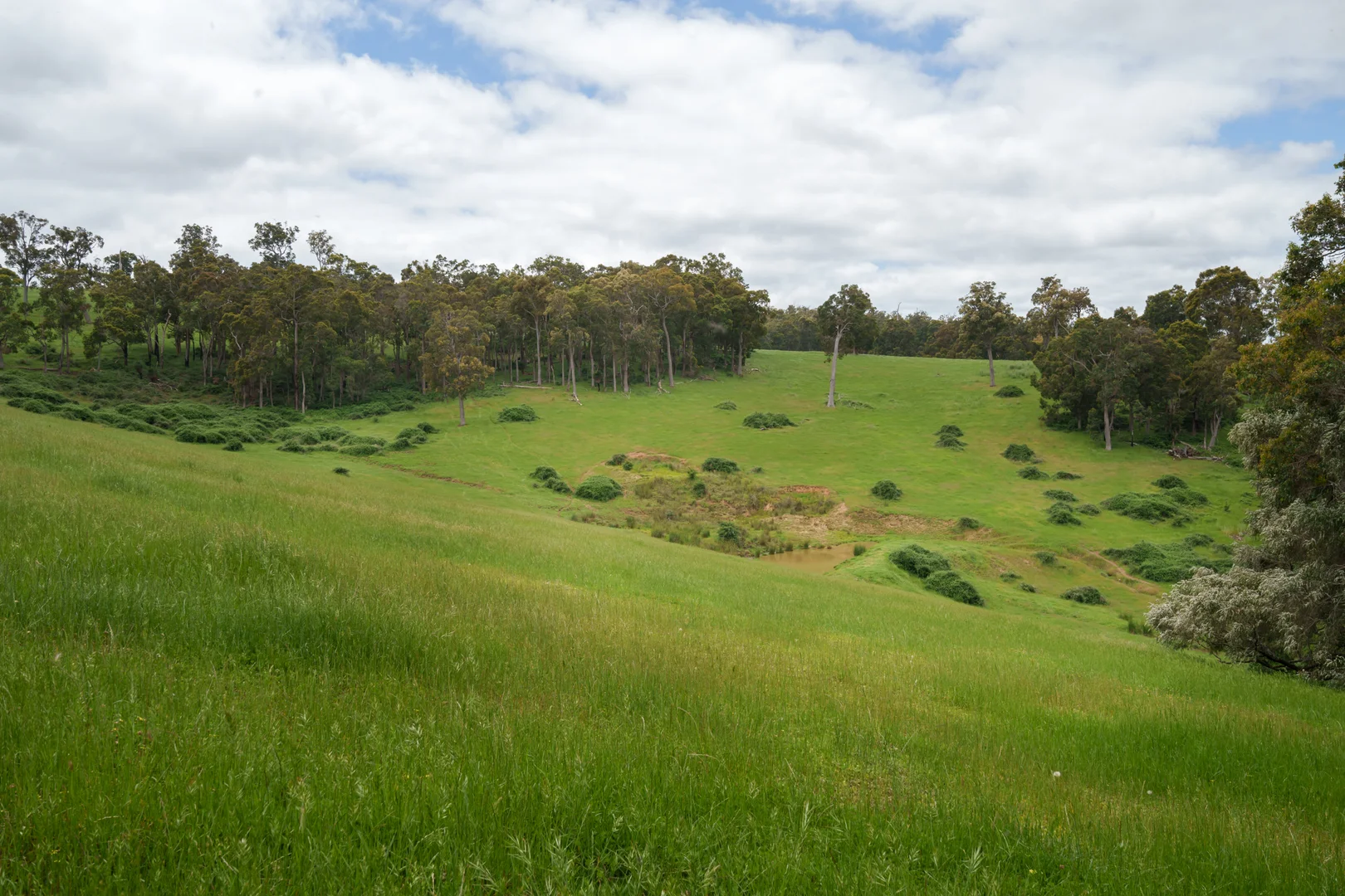 Additional image 18 of Lot 4 Kammann Road (Upper Warren), Manjimup WA 6258