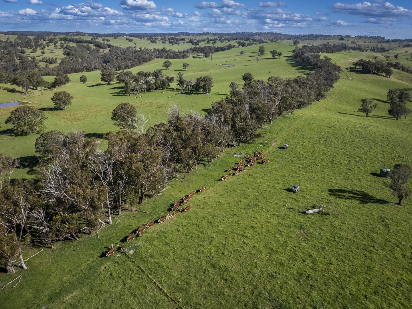 Additional image 3 of 338 Fishington Road, Wongwibinda NSW 2350