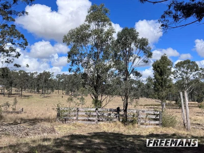 Additional image 31 of 316 Wattle Camp Road, Wattle Camp QLD 4615