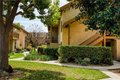 Additional image 21 of 120 Lemon Grv Unit 34, Irvine, CA, 92618