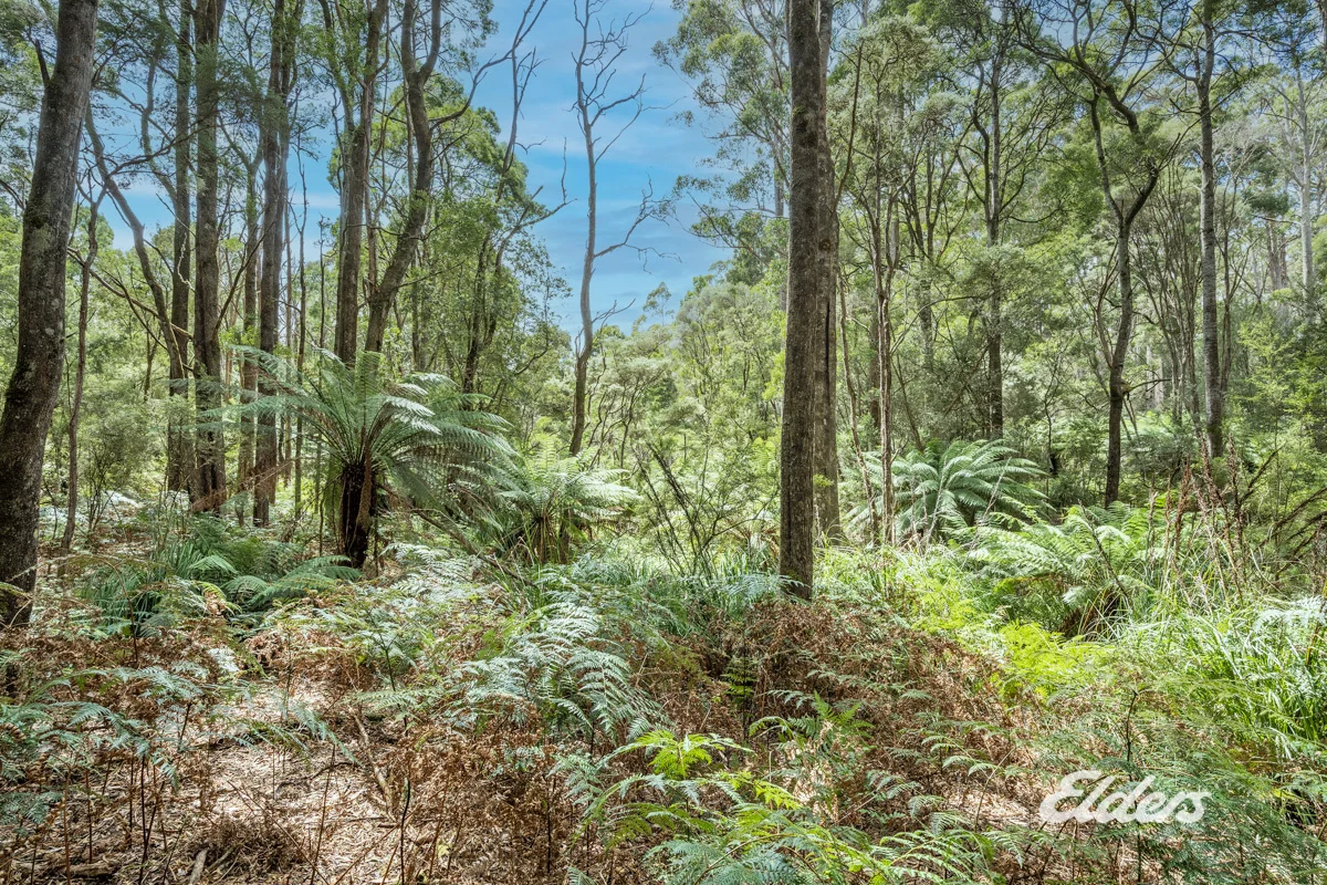 Additional image 15 of Faheys Lane, Irishtown TAS 7330