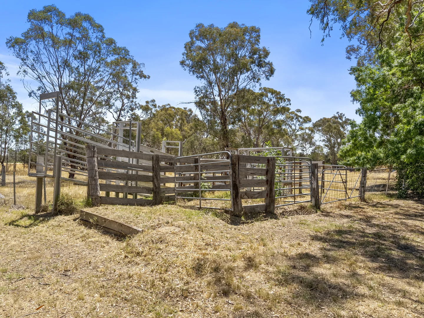 Additional image 38 of 4572 Murray Valley Highway, Rutherglen VIC 3685