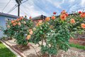 Additional image 33 of 5164 Montreal Dr, San Jose, CA, 95130