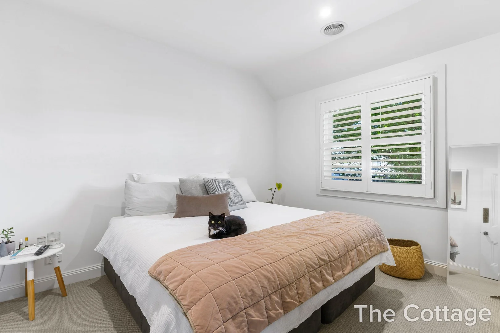 Additional image 30 of 2a Raith Terrace, Newtown VIC 3220